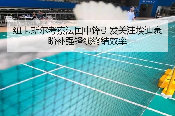 纽卡斯尔考察法国中锋引发关注埃迪豪盼补强锋线终结效率
